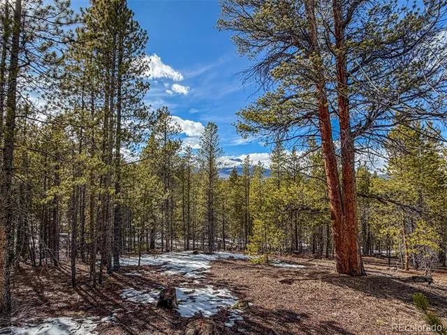 483 Mt Massive Road Twin Lakes, CO 81251