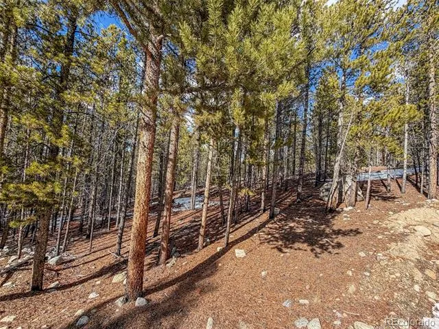 483 Mt Massive Road Twin Lakes, CO 81251