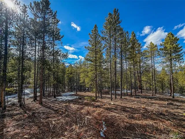 483 Mt Massive Road Twin Lakes, CO 81251