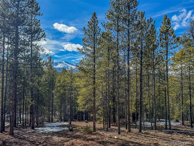483 Mt Massive Road Twin Lakes, CO 81251
