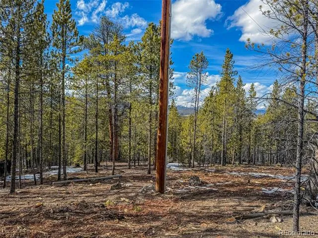 483 Mt Massive Road Twin Lakes, CO 81251