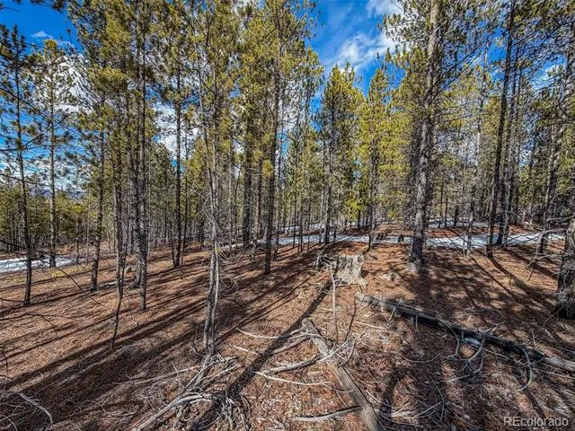 483 Mt Massive Road Twin Lakes, CO 81251