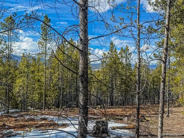 483 Mt Massive Road Twin Lakes, CO 81251