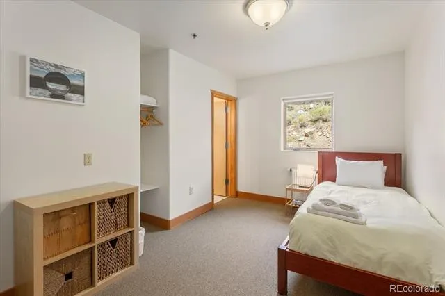 2538 Carefree Way Crestone, CO 81131