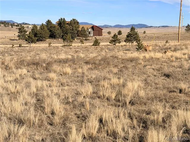 311 Harness Way Hartsel, CO 80449