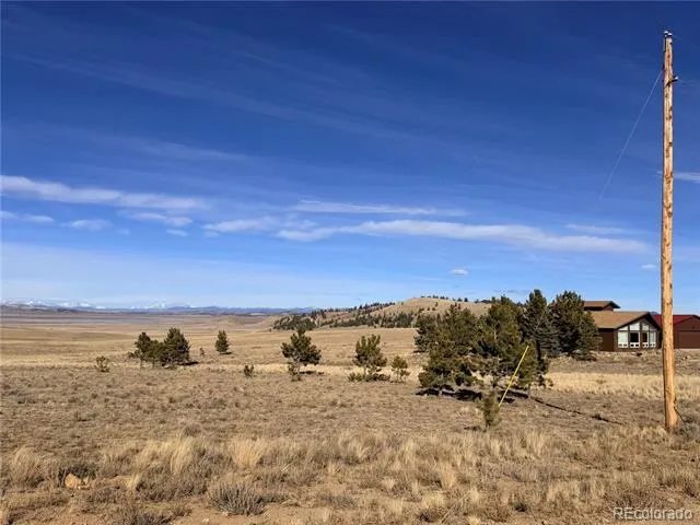 311 Harness Way Hartsel, CO 80449
