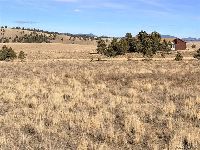 311 Harness Way Hartsel, CO 80449