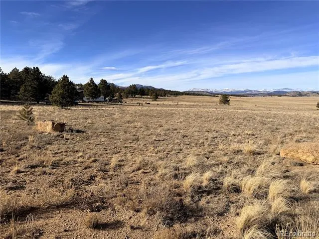311 Harness Way Hartsel, CO 80449