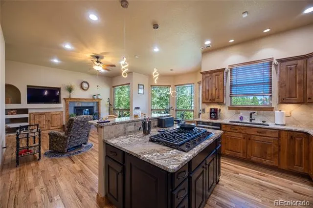 230 Eagle Pines Drive Woodland Park, CO 80863