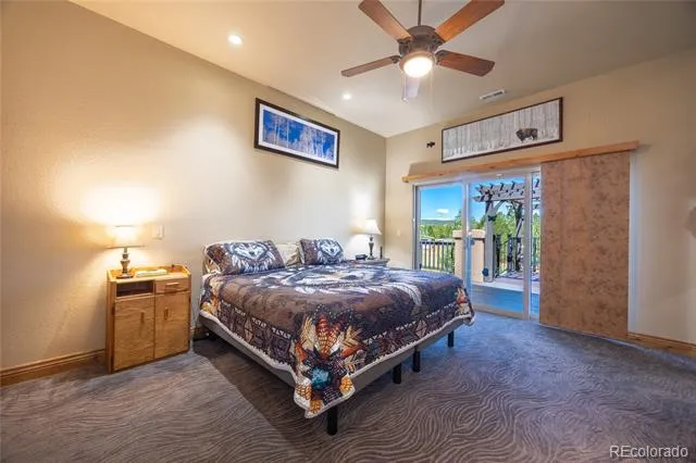 230 Eagle Pines Drive Woodland Park, CO 80863
