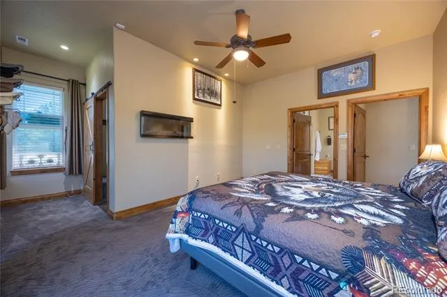 230 Eagle Pines Drive Woodland Park, CO 80863
