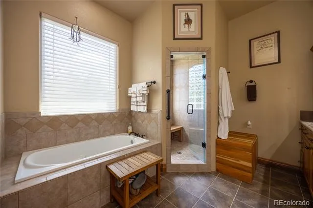 230 Eagle Pines Drive Woodland Park, CO 80863