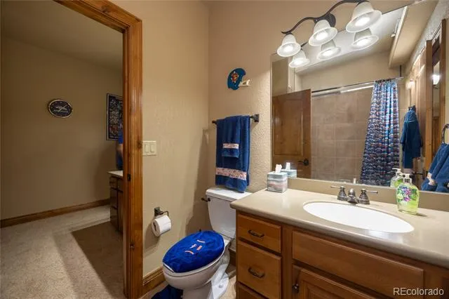 230 Eagle Pines Drive Woodland Park, CO 80863