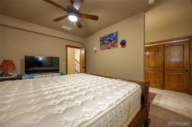 230 Eagle Pines Drive Woodland Park, CO 80863