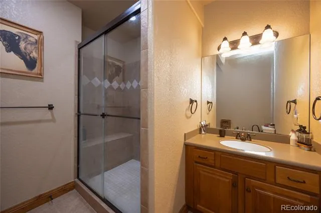 230 Eagle Pines Drive Woodland Park, CO 80863
