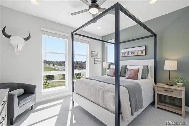 3617 Mykonos Drive Castle Rock, CO 80109