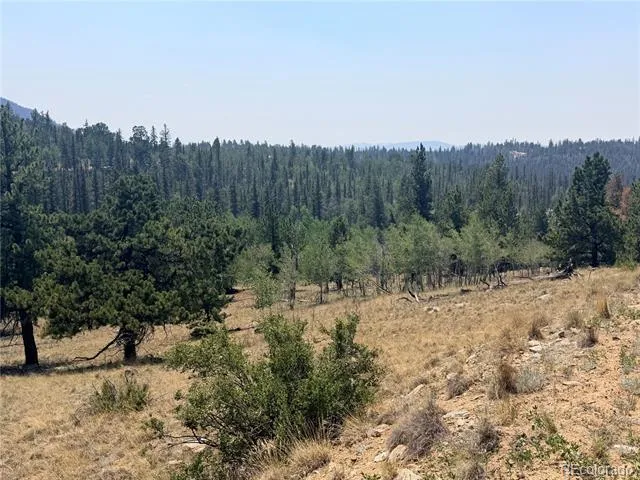 234 Warclub Court Jefferson, CO 80456