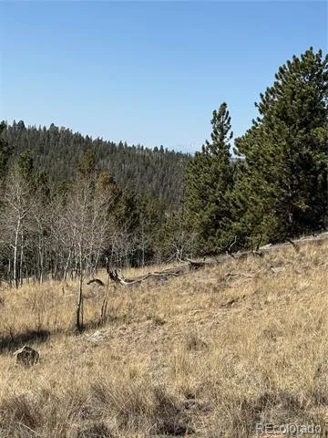 234 Warclub Court Jefferson, CO 80456
