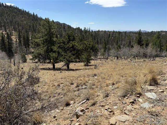 234 Warclub Court Jefferson, CO 80456