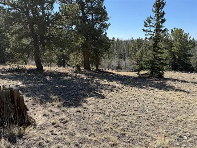 234 Warclub Court Jefferson, CO 80456