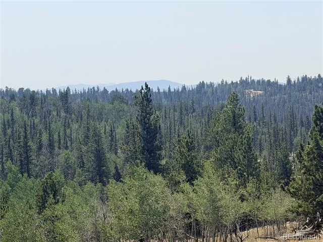 234 Warclub Court Jefferson, CO 80456