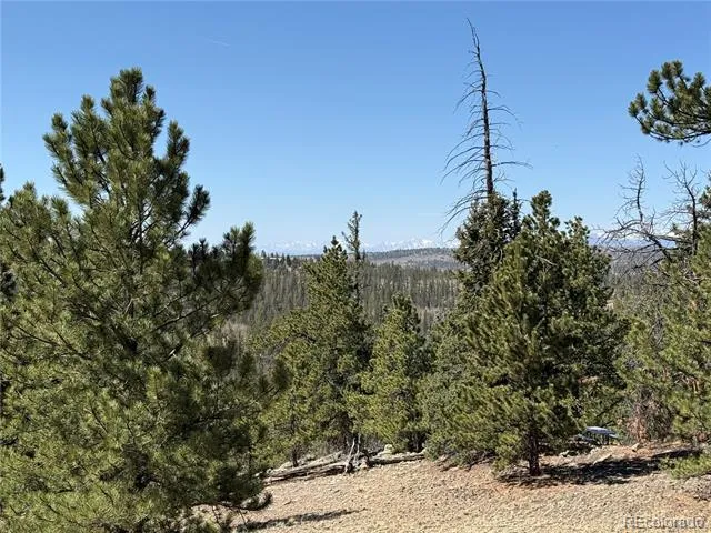 234 Warclub Court Jefferson, CO 80456