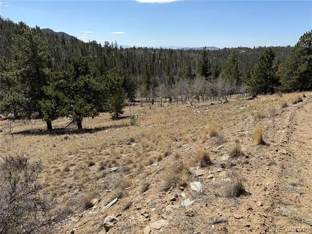 234 Warclub Court Jefferson, CO 80456
