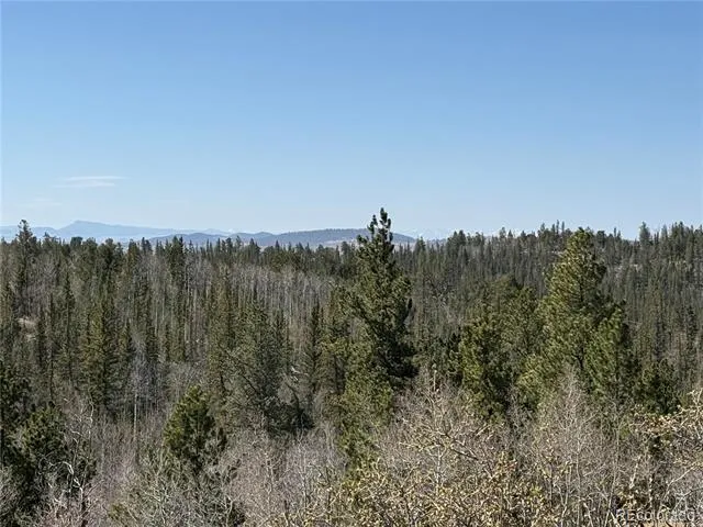 234 Warclub Court Jefferson, CO 80456