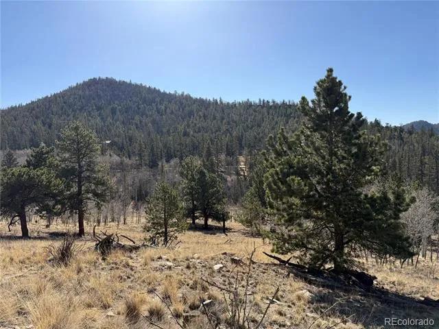234 Warclub Court Jefferson, CO 80456