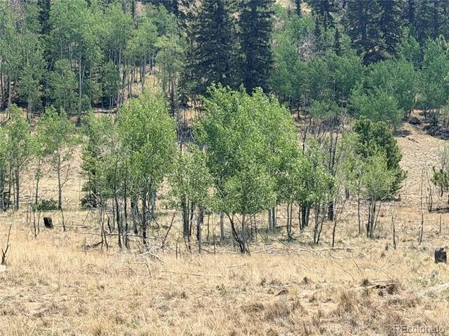 234 Warclub Court Jefferson, CO 80456