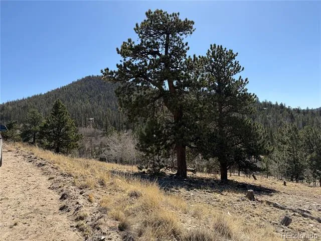 234 Warclub Court Jefferson, CO 80456