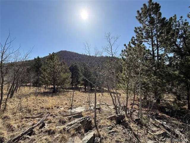 234 Warclub Court Jefferson, CO 80456
