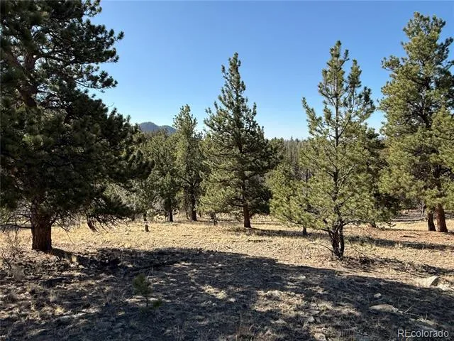 234 Warclub Court Jefferson, CO 80456