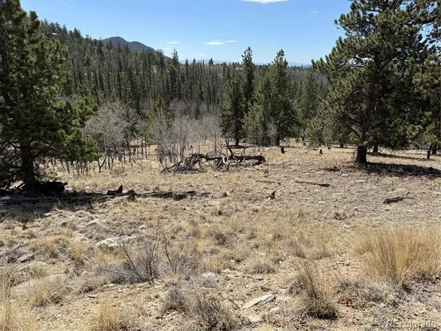 234 Warclub Court Jefferson, CO 80456