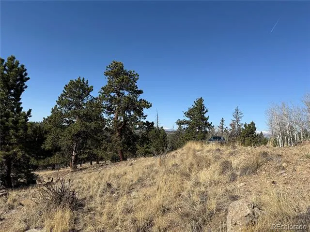234 Warclub Court Jefferson, CO 80456