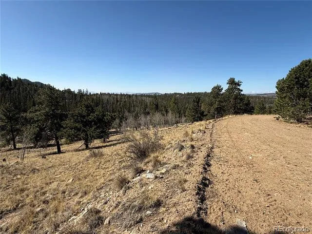234 Warclub Court Jefferson, CO 80456