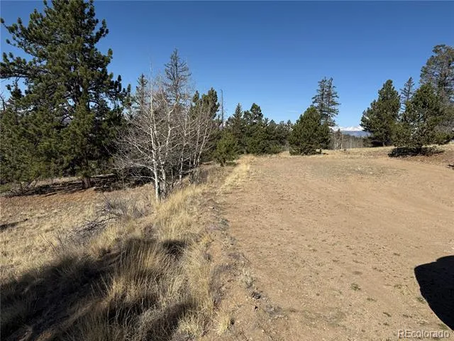 234 Warclub Court Jefferson, CO 80456