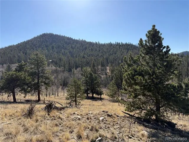 234 Warclub Court Jefferson, CO 80456