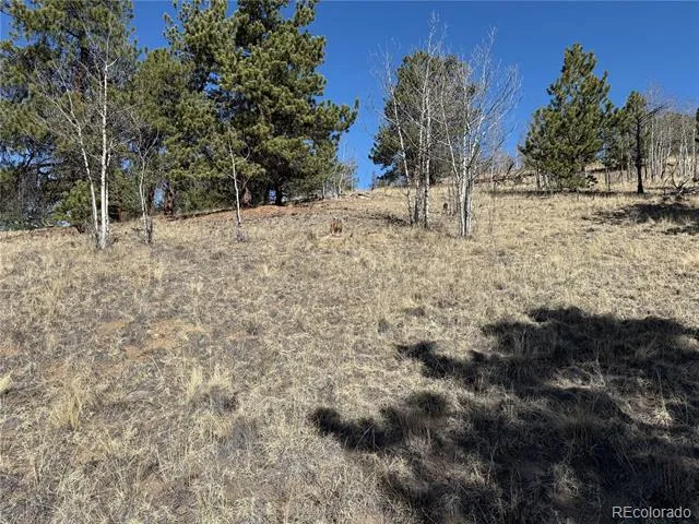 234 Warclub Court Jefferson, CO 80456
