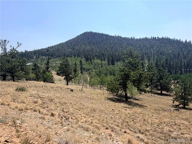 234 Warclub Court Jefferson, CO 80456