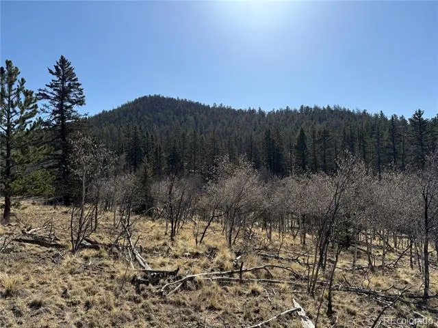 234 Warclub Court Jefferson, CO 80456