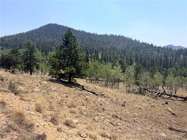 234 Warclub Court Jefferson, CO 80456