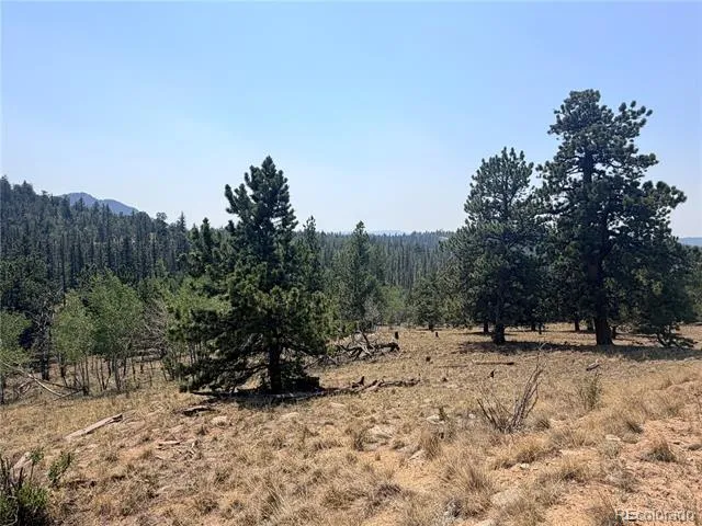 234 Warclub Court Jefferson, CO 80456