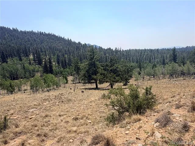 234 Warclub Court Jefferson, CO 80456