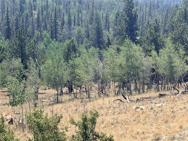 234 Warclub Court Jefferson, CO 80456