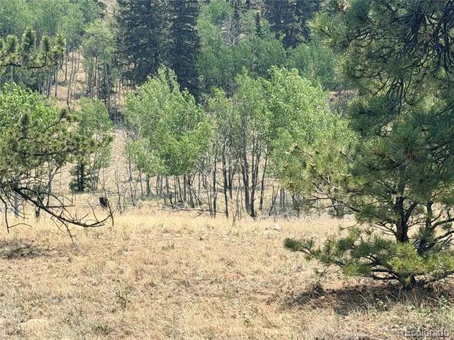 234 Warclub Court Jefferson, CO 80456