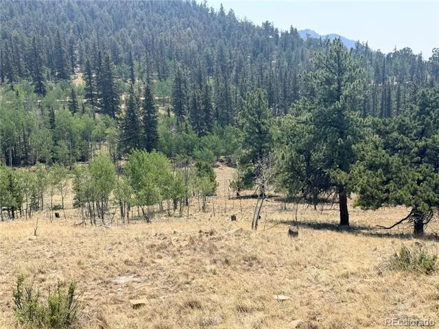 234 Warclub Court Jefferson, CO 80456
