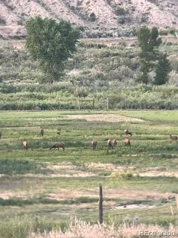 41008 County Road 5 Meeker, CO 81641