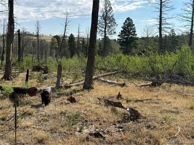 Lot 2498 Gilmartin Lane Fort Garland, CO 81133