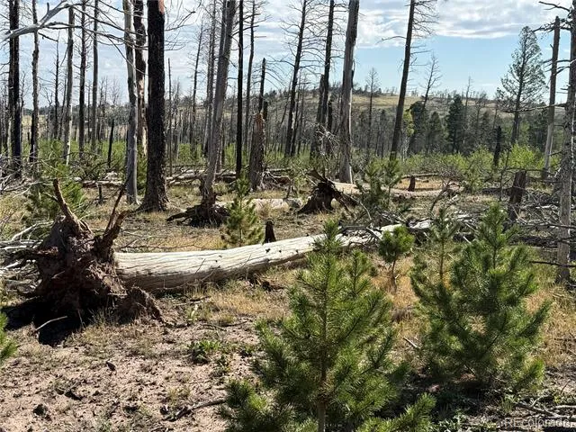 Lot 2498 Gilmartin Lane Fort Garland, CO 81133